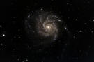 Supernova 2023ixf in M101