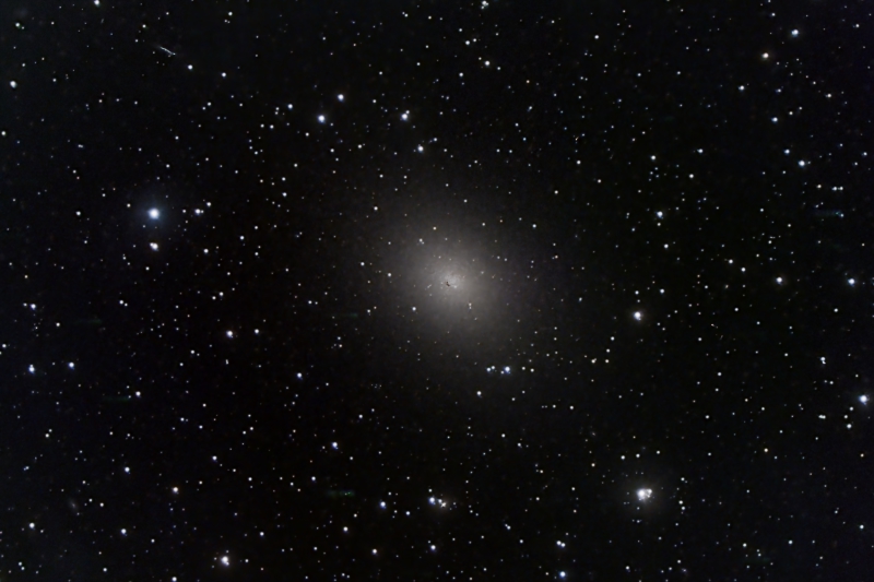 Elliptical Galaxy NGC185