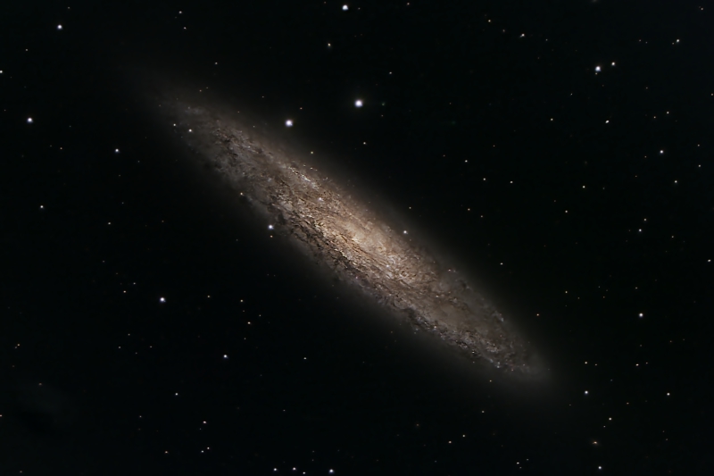 The Sculptor Galaxy (NGC253)