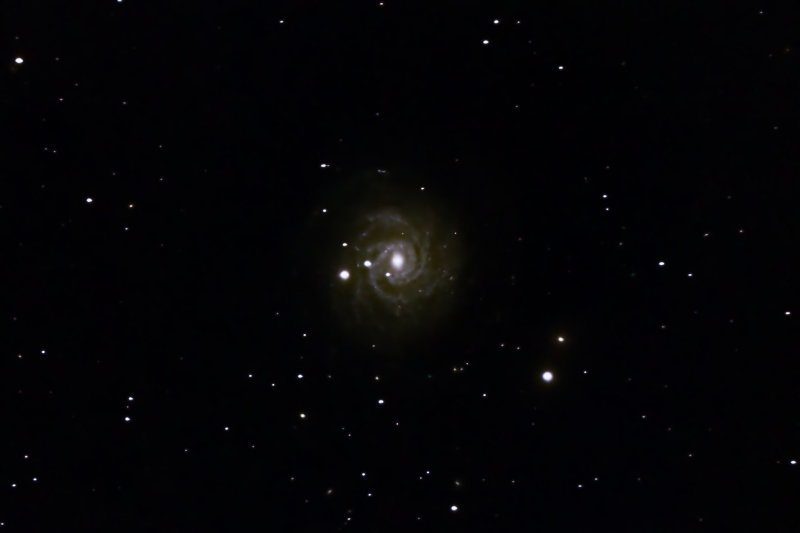 NGC3344