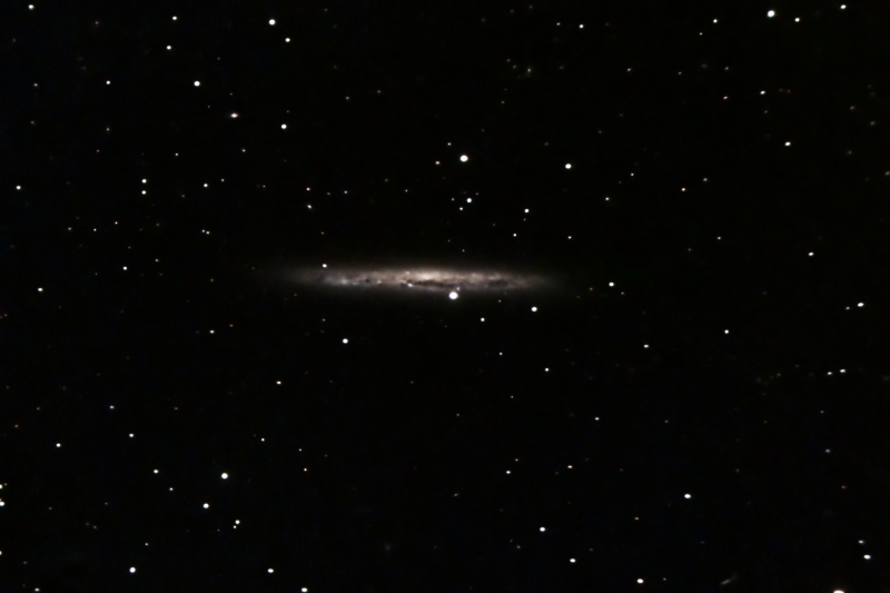 NGC4517 (NGC4437)