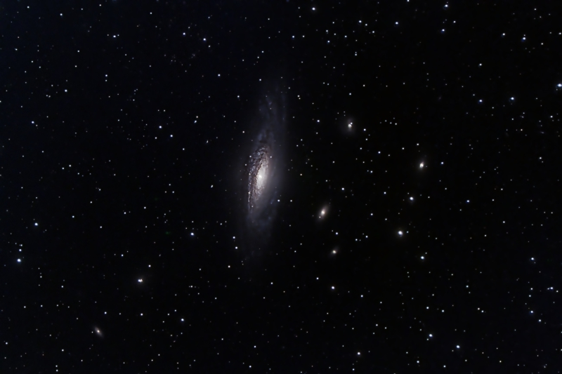 The Deer Lick Galaxy Group