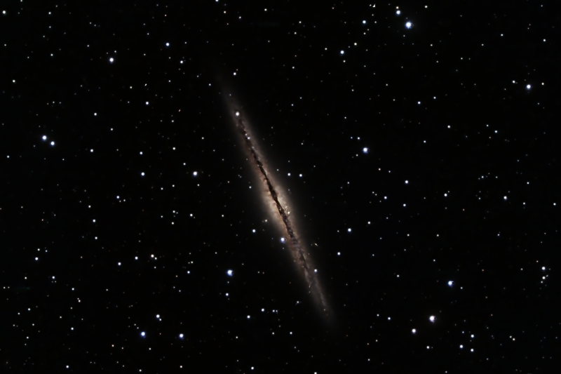 The Outer Limits Galaxy (NGC891)