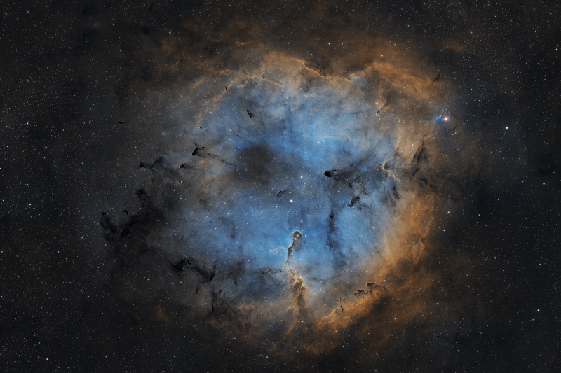 The Elephant Trunk Nebula