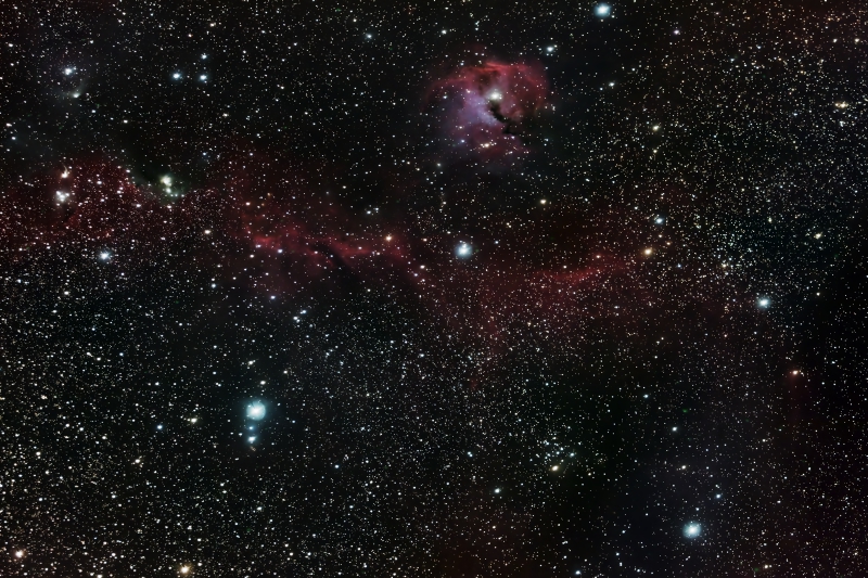 The Seagull Nebula