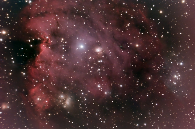 The Monkey Head Nebula