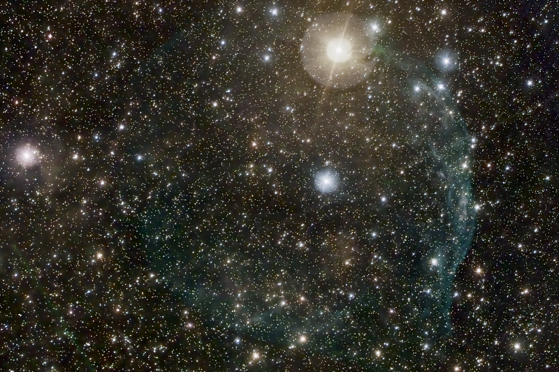 The Dolphin Head Nebula